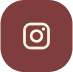 Instagram Icon
